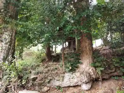 志波加神社の{uncategorized: "未分類", other: "その他", undefined: "問題あり", building: "その他建物", grave: "お墓", sacred_gate: "鳥居", guardian: "狛犬", statue: "像", buddha: "仏像", history: "歴史", nature: "自然", garden: "庭園", animal: "動物", pagoda: "塔", temizu: "手水舎", mountain_gate: "山門・神門", sanctuary: "本殿・本堂", subordinate: "末社・摂社", art: "芸術", scenery: "景色", jizo: "地蔵", ema: "絵馬", goshuin: "御朱印", omikuji: "おみくじ", items: "授与品その他", amulet: "お守り", goshuincho: "御朱印帳", eats: "食事", festival: "お祭り", votive_dance: "神楽", shichigosan: "七五三参", wedding: "結婚式", experience: "体験その他", initially: "初詣", around: "周辺", anti_infection: "感染症対策"}