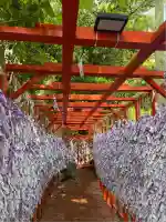 石浦神社(石川県)