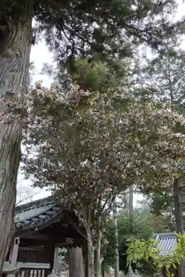 由加神社（和気由加神社）(岡山県)
