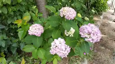 比佐豆知神社(三重県)