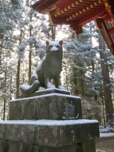 三峯神社(埼玉県)