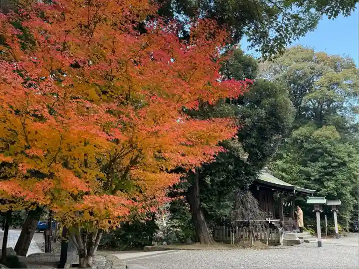 武蔵一宮氷川神社(埼玉県)
