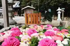 立志神社の手水