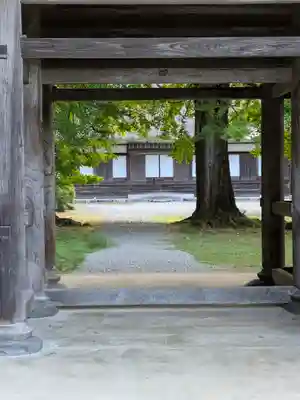 廣徳寺(東京都)
