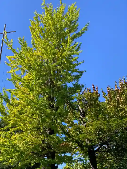八剣神社の自然
