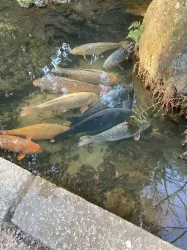 石山寺(滋賀県)