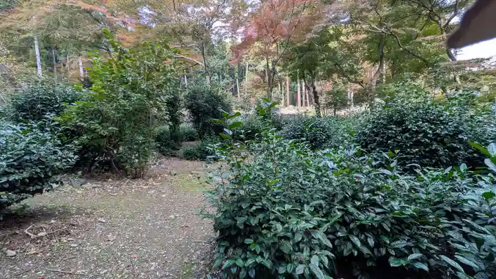 高山寺(京都府)