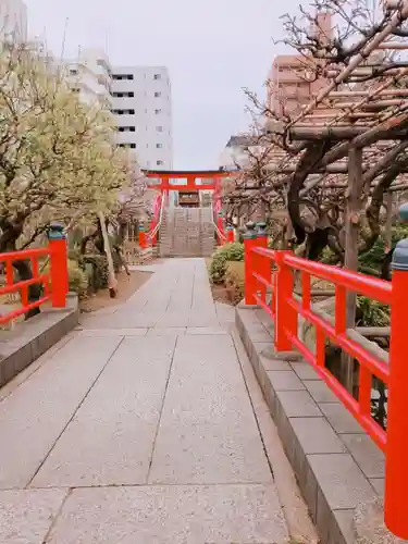 亀戸天神社の庭園