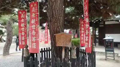 葛井寺(大阪府)