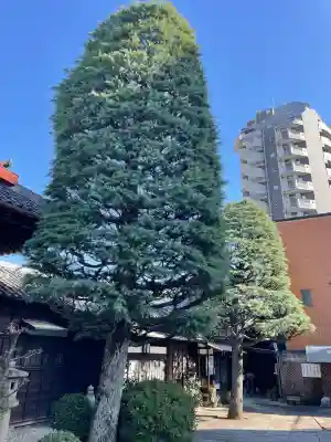 浩妙寺(東京都)