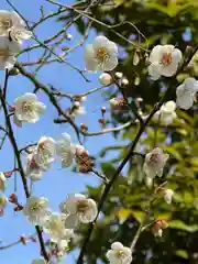 伊勢の国 四天王寺(三重県)