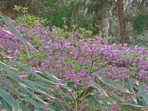 加波山神社親宮(茨城県)