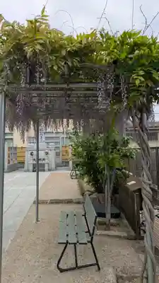 大松禅寺(京都府)