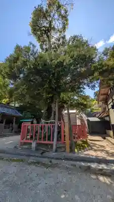 山王宮日吉神社(京都府)