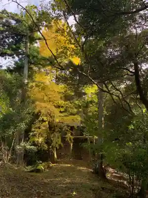 八坂神社(千葉県)