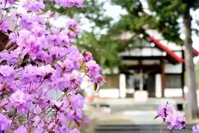 江部乙神社(北海道)