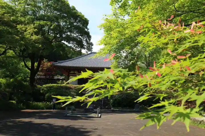 久安寺のその他建物