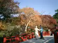 鶴岡八幡宮の景色