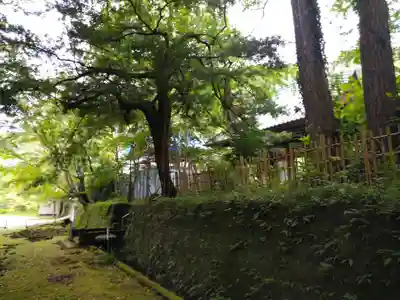 小松寺の周辺