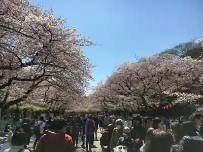 寛永寺(根本中堂)の周辺