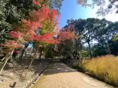 醍醐寺(京都府)