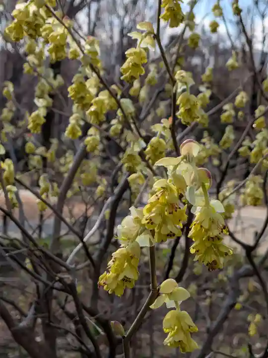 熊野神社(東京都)