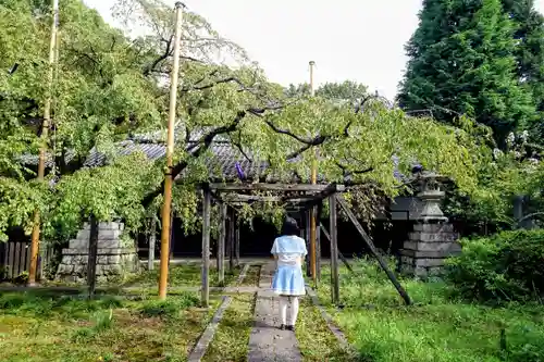 長誓寺の本殿・本堂