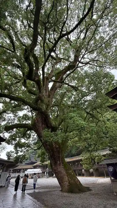 金刀比羅宮(香川県)