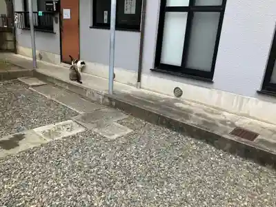 女塚神社(東京都)