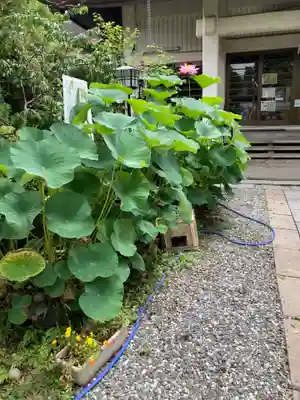 教善寺(神奈川県)