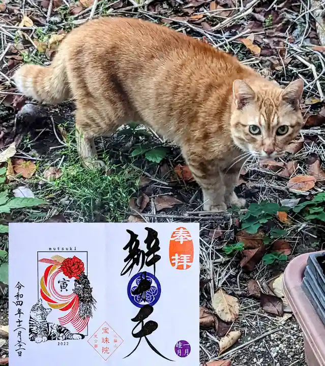 増上寺塔頭 三縁山 宝珠院の動物