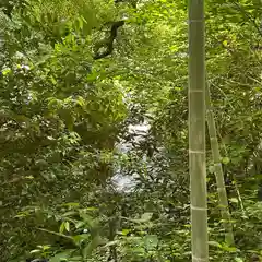 來宮神社(静岡県)