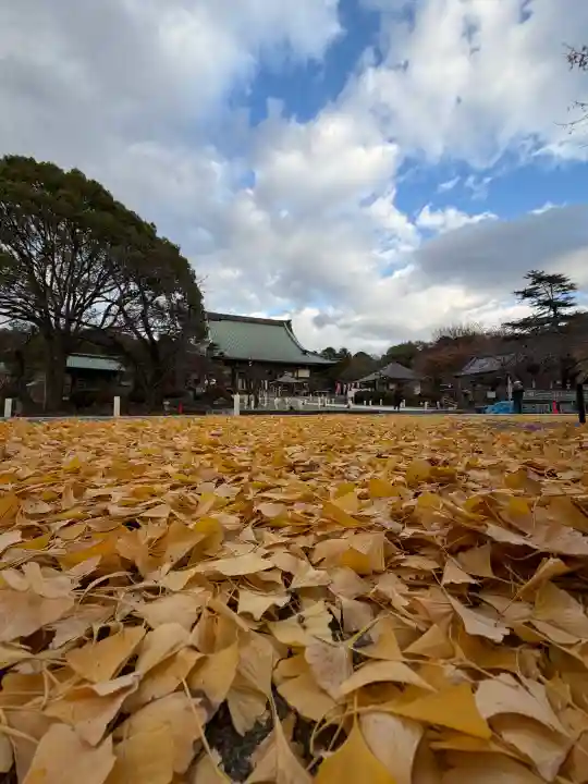 時宗総本山 遊行寺(正式:清浄光寺)(神奈川県)