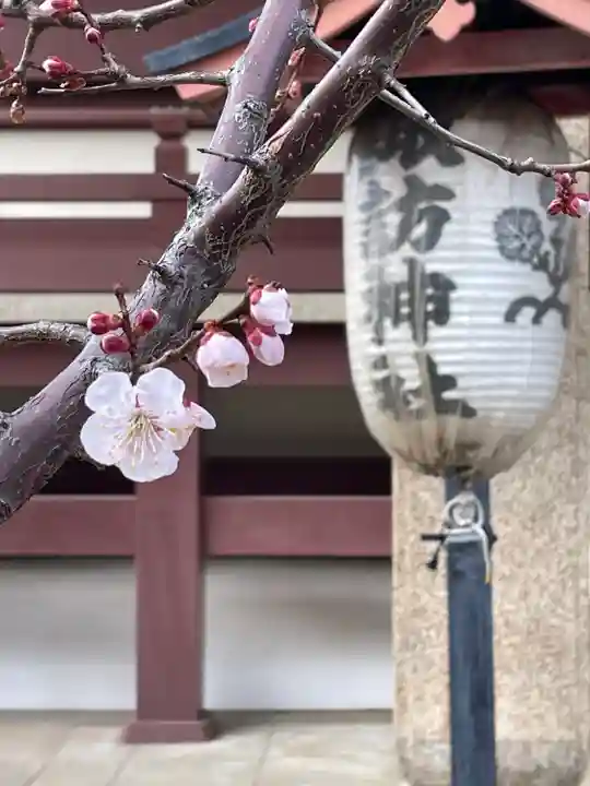 諏訪神社(東京都)