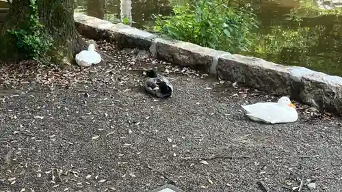 平塚八幡宮(神奈川県)