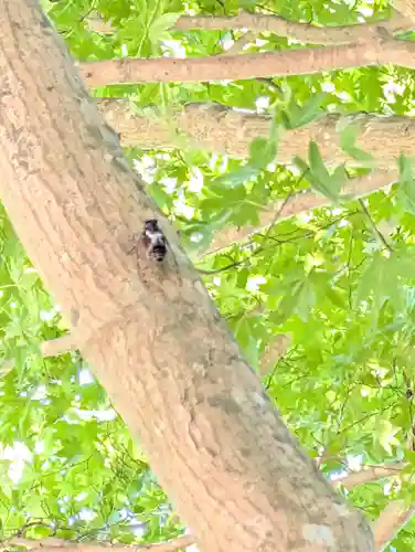 正一位 若草稲荷神社(宮城県)