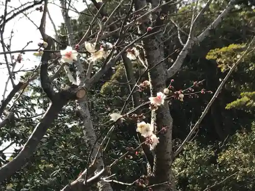 検見川神社の自然