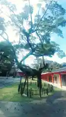 浜松秋葉神社(静岡県)