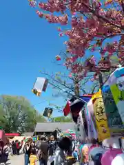 新琴似神社のお祭り