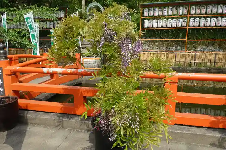 金剛宝寺(紀三井寺)の自然