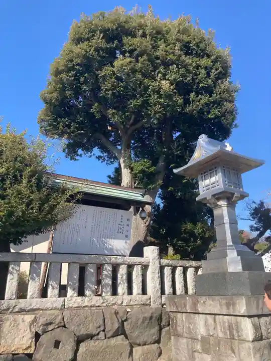 鶴岡八幡宮の自然