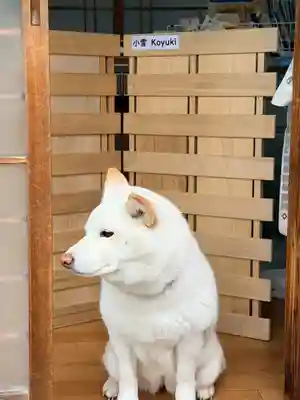 宗忠神社(京都府)