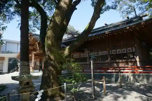 猿田彦神社の建物その他