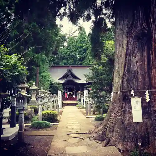 涼ケ岡八幡神社のその他建物