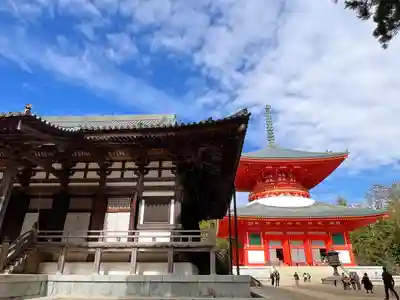 高野山金剛峯寺(和歌山県)