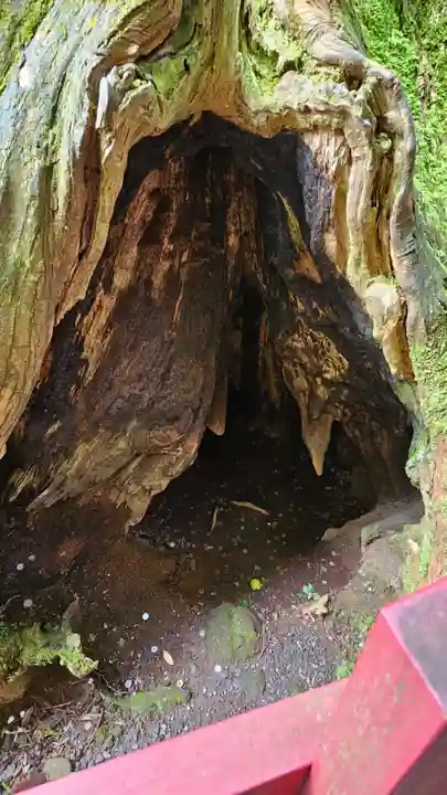 箱根神社(神奈川県)