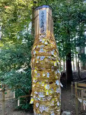 下野 星宮神社(栃木県)