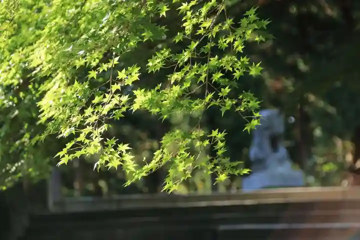 三春大神宮の自然