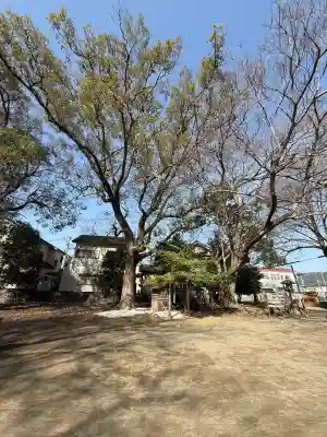 大屋都姫神社の{uncategorized: "未分類", other: "その他", undefined: "問題あり", building: "その他建物", grave: "お墓", sacred_gate: "鳥居", guardian: "狛犬", statue: "像", buddha: "仏像", history: "歴史", nature: "自然", garden: "庭園", animal: "動物", pagoda: "塔", temizu: "手水舎", mountain_gate: "山門・神門", sanctuary: "本殿・本堂", subordinate: "末社・摂社", art: "芸術", scenery: "景色", jizo: "地蔵", ema: "絵馬", goshuin: "御朱印", omikuji: "おみくじ", items: "授与品その他", amulet: "お守り", goshuincho: "御朱印帳", eats: "食事", festival: "お祭り", votive_dance: "神楽", shichigosan: "七五三参", wedding: "結婚式", experience: "体験その他", initially: "初詣", around: "周辺", anti_infection: "感染症対策"}