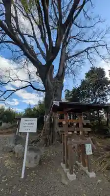 石坐神社(滋賀県)